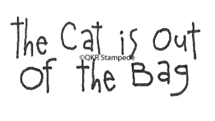 Cat is Out Rubber Stamp
