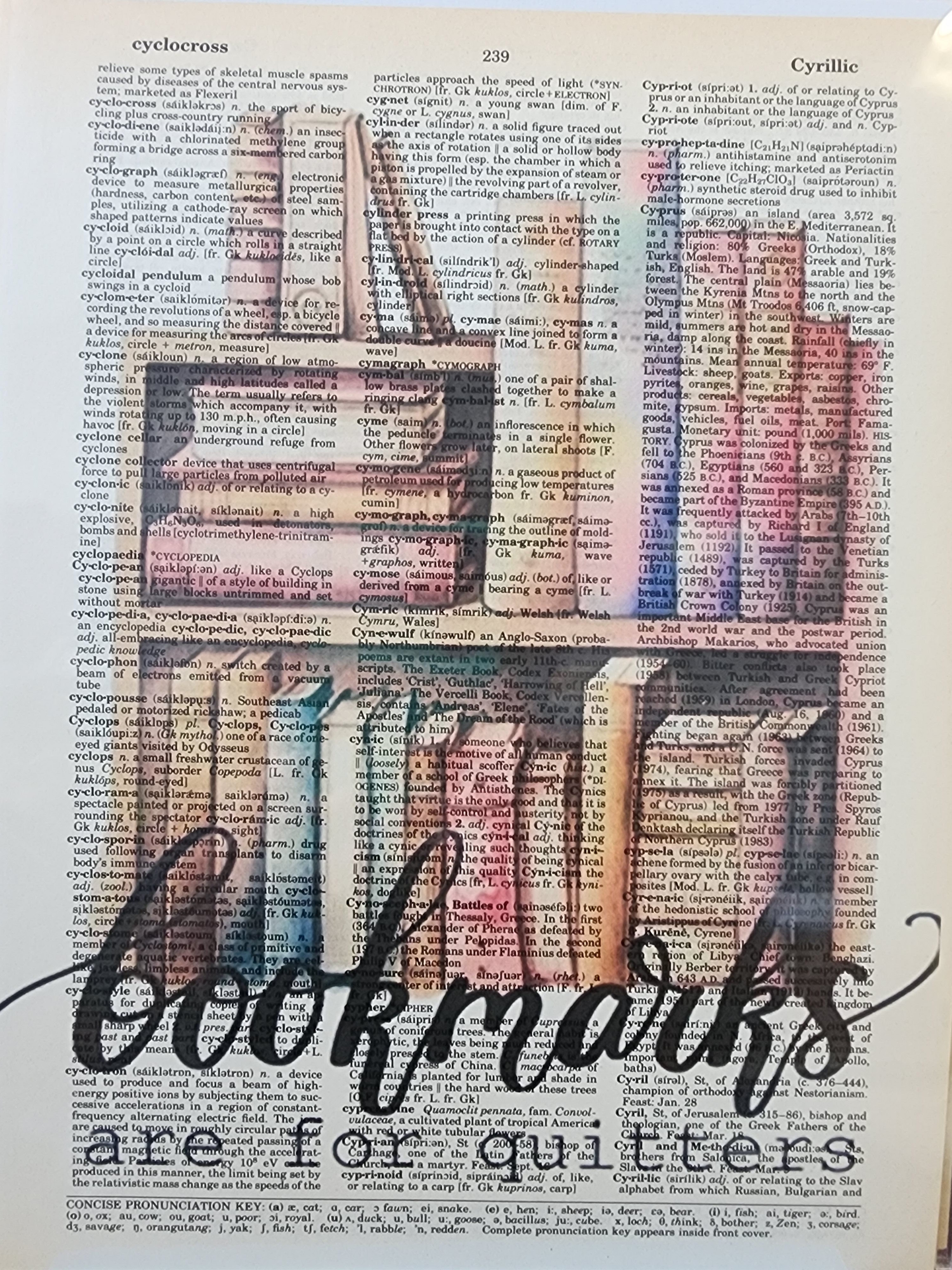 Bookmarks are for Quitters Dictionary Print