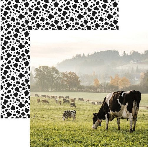 Holy Cow! 12 x 12 Paper Bundle