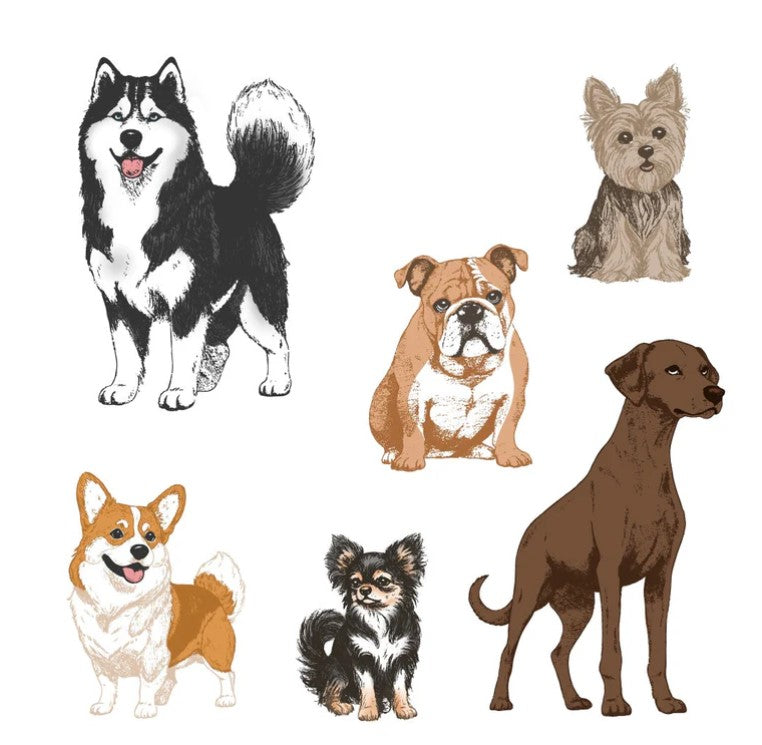 Tail Waggers Stamp and Metal Die Combo